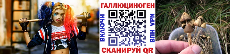 купить наркотик  Орлов  Галлюциногенные грибы ЛСД 